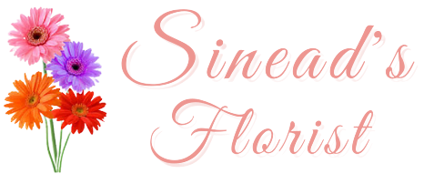 Sinead's Florist Portadown